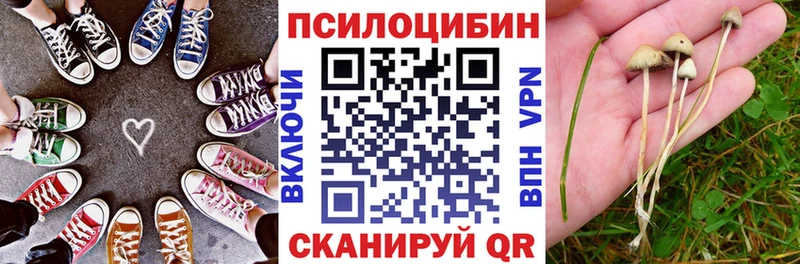 Псилоцибиновые грибы Magic Shrooms  Миньяр 